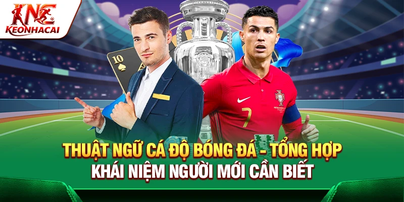 https://muvix.com.co/thuat-ngu-ca-do-bong-da/