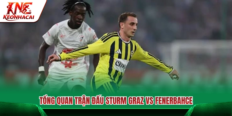 Tổng quan cuộc đối đầu giữa Sturm Graz vs Fenerbahce 